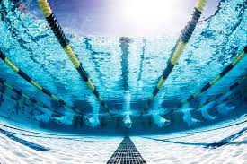 Davide martinenghi | new zealand | chef de cuisine | 500+ connections | see davide's complete profile on linkedin and connect Martinenghi Helps Italy Break 400 Medley Relay Wjr In Netanya