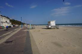 Bournemouth beach & pier pampass grass tilt shifted view of the west cliff with pampass grass showing bournemouth bay with the beach, pier and general coast of this popular tourist destination. Coronavirus Quiet Scenes At Bournemouth Beach Bournemouth Echo