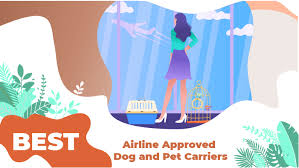 14 Best Airline Approved Dog And Pet Carriers Of 2019