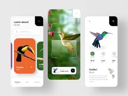 Bird Search With Ar Scan App Design App Interface Design App Design Inspiration