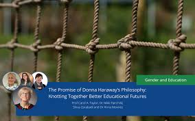 These are the top schools for graduate programs in special education. Nw 13 Philosophy Of Education Archives Eera Blog