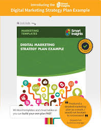 Digital Marketing Plan Example Smart Insights Digital Marketing Advice Marketing Strategy Template Digital Marketing Plan Marketing Strategy Examples