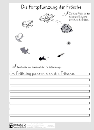 Lebensraum Teich Der Frosch Archive Blog Bildung Leben Mit Innovativem Unterrichtsmaterial In 2020 Unterrichtsmaterial Frosche Bildung