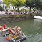 Kingsbridge Fair Week event image