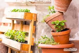 Aussaat von gurken auf dem balkon schritt 1: Balkongarten Anlegen 8 Einfache Projekte Fur Die Ernte Auf Kleiner Flache