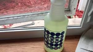 Varför mold forms på windowsills. How To Remove Black Mold From Window Sills Bleach And Kill Mold Youtube