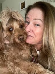 Is there a holistic treatment for ehrlichlia in dogs?