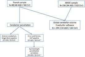 Flow Chart Asd Indviduals With Asd Ctrl Healthy Controls