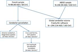 flow chart asd indviduals with asd ctrl healthy controls