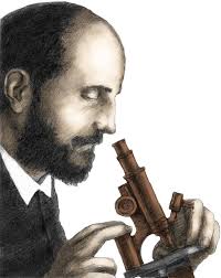 Amazon.com: Posterazzi Santiago Ramon y Cajal Scientist Poster Print by Spencer  Sutton/Science Source, (18 x 24), Varies: Posters & Prints