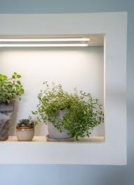 We did not find results for: This Diy Grow Frame Is A Beautiful Accent In Any Room With A Beautiful Frame Shelf And Adjustab Grow Lights For Plants Led Grow Lights Plants Grow Lights Diy