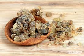 Baumharz Wo Es Zu Finden Ist Und Wie Man Es Sammelt Richtig Rauchern Krauterzauber Gewurze Und Krauter