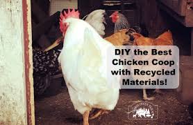 The roof is 6′ x 10′. Diy The Best Chicken Coop With Recycled Materials Timber Creek Farm