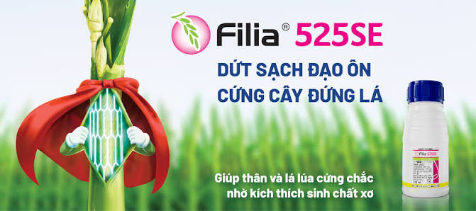 Filia® 525SE
