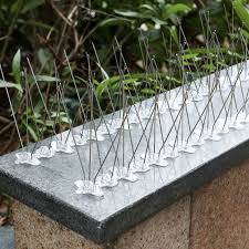 Can effectively prevent squeezing during loading or transportation. Indian Myna Bird Spikes Buy Online Save 3 Day Sale
