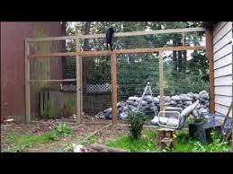 How To Keep Your Cats From Climbing A Fence They Can T Climb This Cat Proof Fence Cat Proofing Outdoor Cat Enclosure Cat Fence