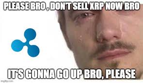 1 month ago1 month ago. Bro Please Bro Hodl Xrp Cryptocurrencymemes