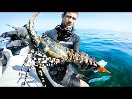 Pin On Multiliteracies