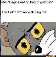 Me Begins Eating Bag Of Goldfish The Petco Worker Watching Me Ifunny Funny Memes Jerry Memes Stupid Funny Memes