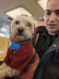 Cindy Cavanaugh's Instagram, Twitter & Facebook