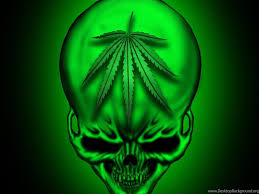 We have a massive amount of desktop and mobile if you're looking for the best weed wallpaper desktop then wallpapertag is the place to be. Smoke Weed Tumblr Gif Cool Backgrounds Wallpapers Desktop Background