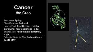 Cancer is the second leading cause of death in the united states. Cancer The Crab Zodiac Constellation