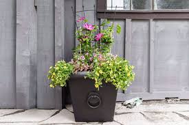 Maybe you would like to learn more about one of these? How To Arrange Flowers In A Planter The Home Depot Canada