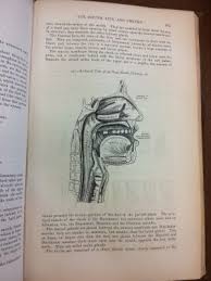 The anatomical basis of clinical practice susan standring. Gray S Anatomy 1858 Royal College Of Surgeons