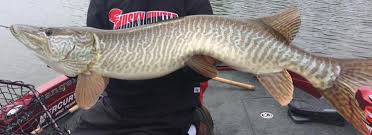 Deo photo by andrew slette. Muskie Fishing In Algoma Country Northern Ontario Canada