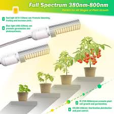 Pin On Plant Grow