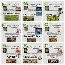 Iaso Tea Www Iasotea Com 3142431 Iaso Tea How To Stay Healthy Total Life Changes