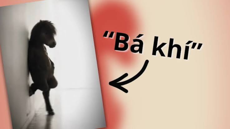 Bá khí" là gì, có nguồn gốc từ đâu mà thành meme phủ sóng khắp mạng xã hội?