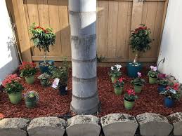 Comfortably browse our huge selection of exotic plants from home or on mobile. Nurserymen In San Marcos Ca San Marcos Ca Nurserymen Mapquest