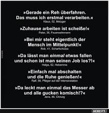 Gerade Ein Reh Uberfahren Lustige Bilder Spruche Witze Echt Lustig J Picbilder Wir Fur Bilder Bilder In 2020 Echt Witzig Witze Lustig Witze Spruche