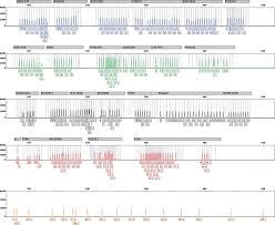 Development Of A 24 Locus Multiplex System To Incorporate The Core Loci In The Combined Dna Index System Codis And The European Standard Set Ess Forensic Science International Genetics