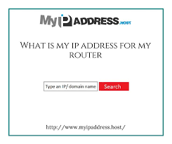 If You Want To Find What Is My Ip Address For My Router Then Just Type Domain Name With Myipaddress Host And Get All Of The Informatio Router Ip Address Names