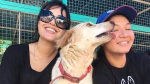 Search our online pets or come by a local petco store for an adoption event. Important Questions You Need To Ask Yourself Before Adopting A Pet Comment Images