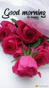 Check spelling or type a new query. Flowers Good Morning Good Morning Images Flowers Good Morning Flowers Pictures Good Morning Image Quotes