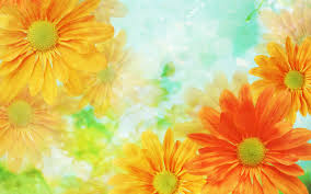 Yellow flower closed clicked wallpaper. 68 Yellow Flower Wallpaper On Wallpapersafari