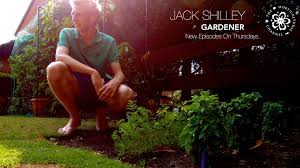 Younghort Director Jack Shilley Presents Gardening Programmes On The Horticultural Channel Giving Great Advice And Handy Hint Landscape Garden Sculpture Greats