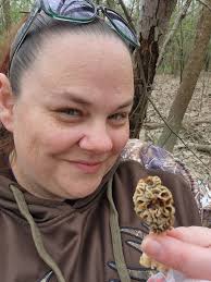Miami County Ohio American Elm tree