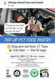 This is the east chicago pound located in east chicago, indiana. Dr Kimberly Curtis Handle With Care Home Veterinary Service Home Facebook