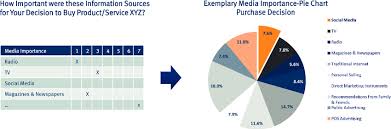 exemplary media importance pie chart for purchase decisions