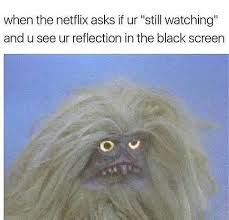 Reposting Boogamousee Honestly Memes Meme Netflix Mirror Reflection Funny Insta True Haha Honestly Funny Pictures Humor Really Funny