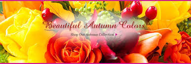 Maybe you would like to learn more about one of these? Lancaster Florist Lancaster Pa Flower Shop Neffsville Flower Shoppe