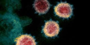 تحميل تعريف طابعة hp laserjet p1102. Ø¯Ø±Ø§Ø³Ø© Ø¬Ø¯ÙŠØ¯Ø© Ø¹Ù† ÙƒÙˆØ±ÙˆÙ†Ø§ Ù„Ø§ ÙŠØµÙŠØ¨ Ø§Ù„Ø¬Ù‡Ø§Ø² Ø§Ù„ØªÙ†ÙØ³ÙŠ Ø¨ØµÙˆØ±Ø© Ù…Ø¨Ø§Ø´Ø±Ø© ÙˆØ²Ø§Ø±Ø© Ø§Ù„Ø¥Ø¹Ù„Ø§Ù… Ø§Ù„Ù„Ø¨Ù†Ø§Ù†ÙŠØ©