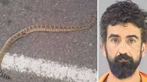 Man hid poisonous snake in neighbor's home after argument