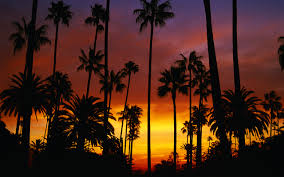 California Sunset Hd Wallpaper Achtergrond 2560x1600 Id 719953 Wallpaper Abyss California palm trees sunset with colorful sky. wallpaper abyss alpha coders