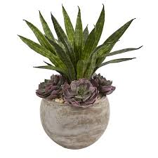 No ratings or reviews yet. 20in Echeveria Succulent And Sansevieria Artificial Plant In Sand Colored Planter From Nearly Natural Accuweather Shop