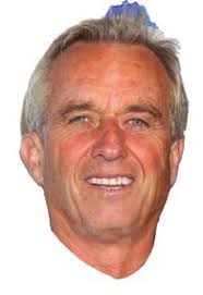 Presidential Election 2024: